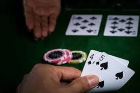 wynn08